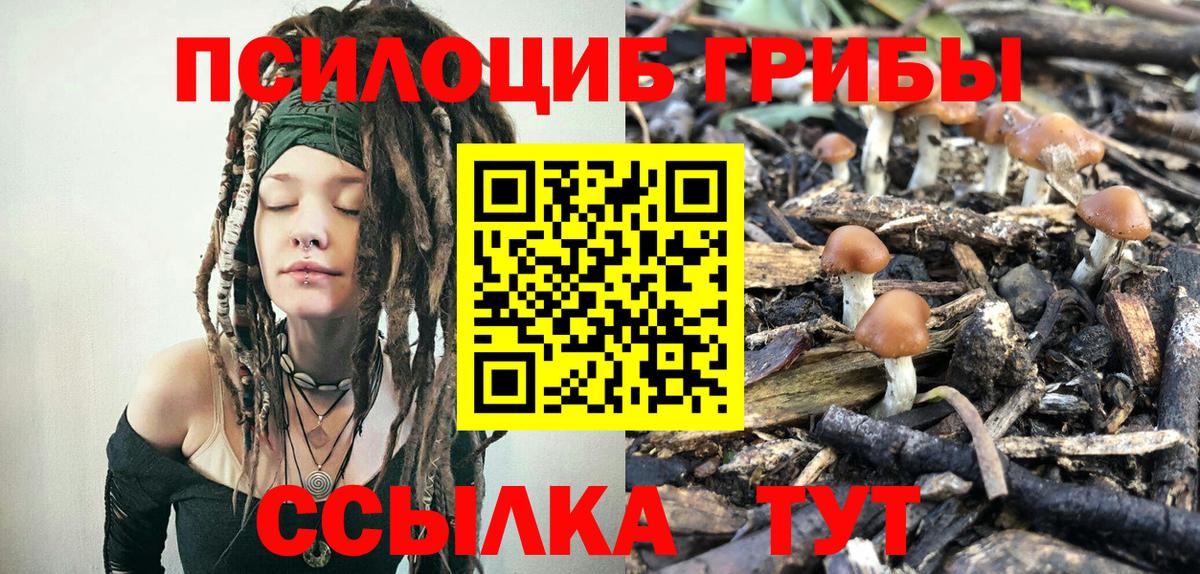 Иваново  Галлюциногенные грибы прущие грибы  Вход с VPN  Галлюциногенные грибы GOLDEN TEACHER 